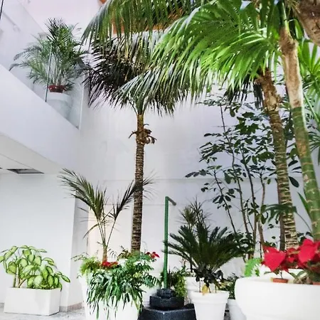 Apartmán Coccoloba Corralejo